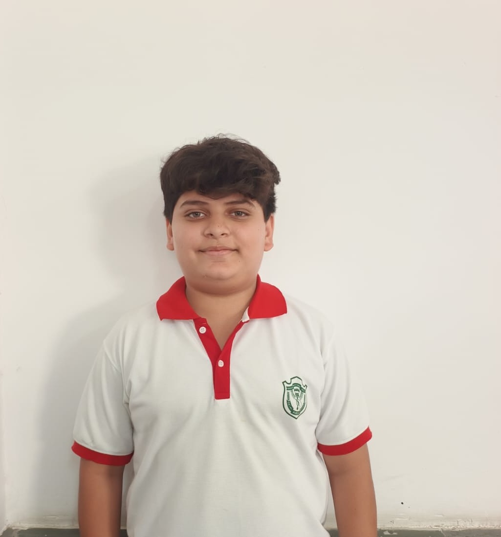 Delhi Public School Anand