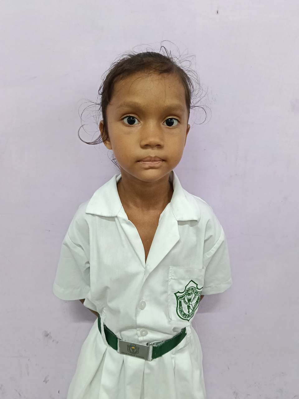 Delhi Public School Anand