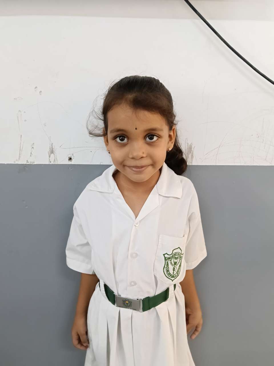 Delhi Public School Anand