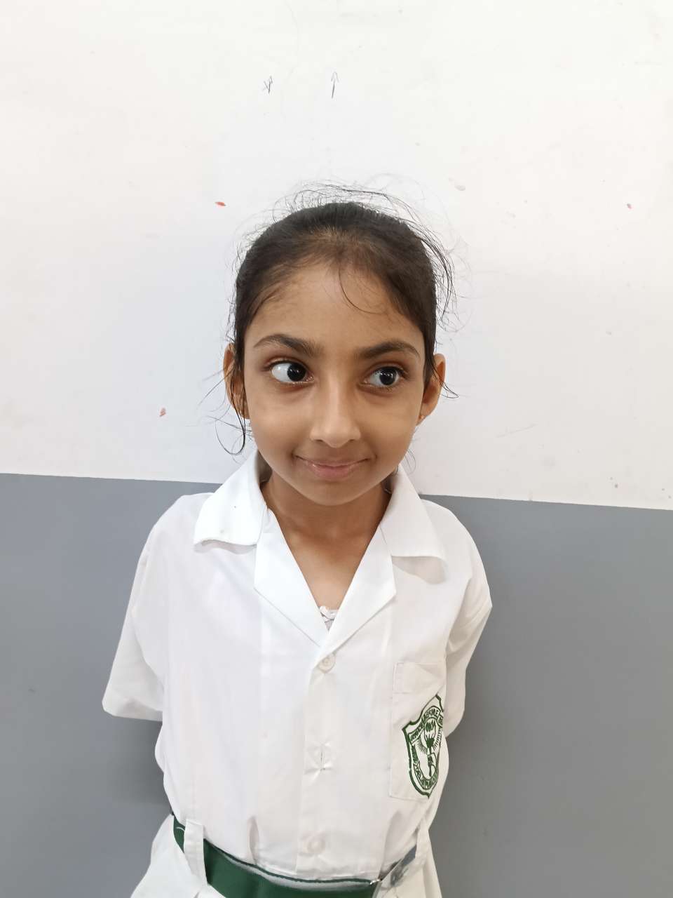 Delhi Public School Anand