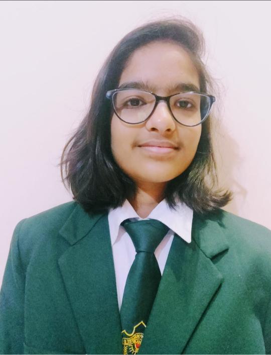 Delhi Public School, Bijnor