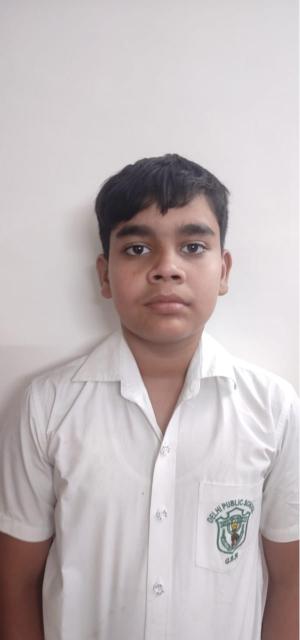 Delhi Public School, Bijnor