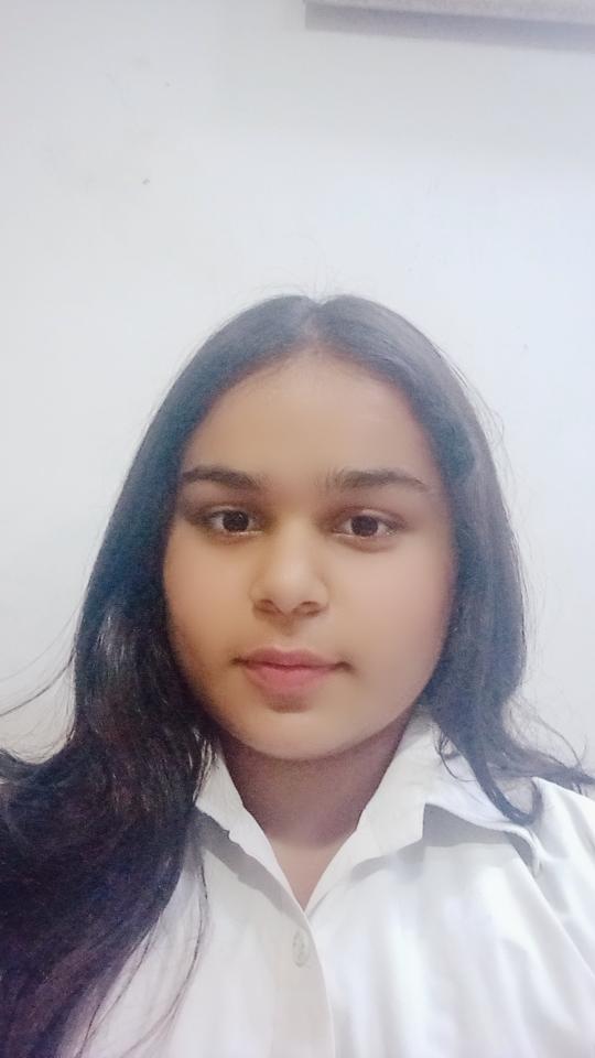Delhi Public School, Bijnor