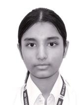 Delhi Public School, Bijnor