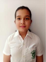 Delhi Public School, Bijnor