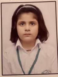 Delhi Public School, Bijnor