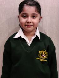 Delhi Public School, Bijnor