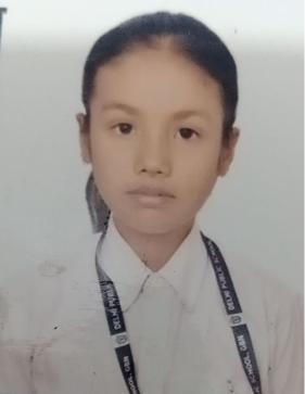 Delhi Public School, Bijnor