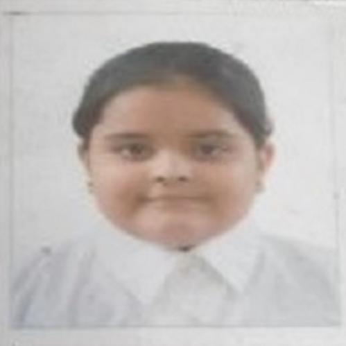 Delhi Public School, Bijnor