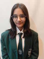 Delhi Public School, Bijnor