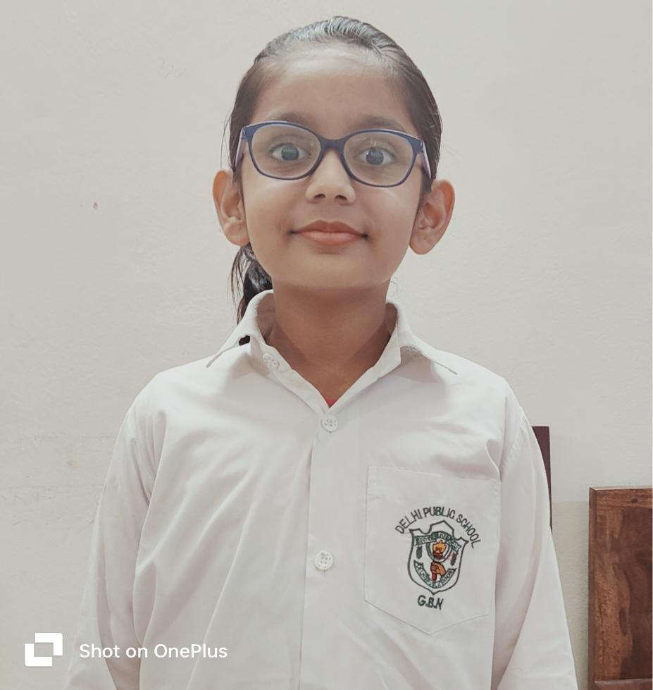Delhi Public School, Bijnor