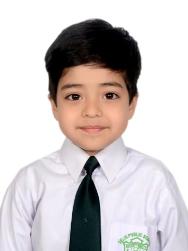 Delhi Public School, Bijnor