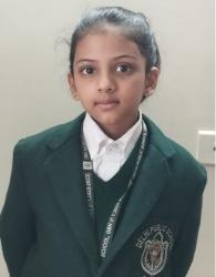 Delhi Public School, Bijnor