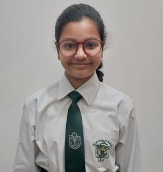 Delhi Public School, Bijnor