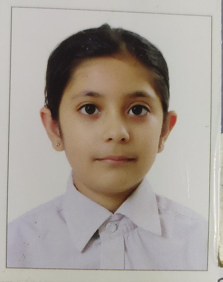 Delhi Public School, Bijnor