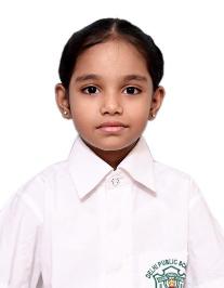 Delhi Public School, Bijnor