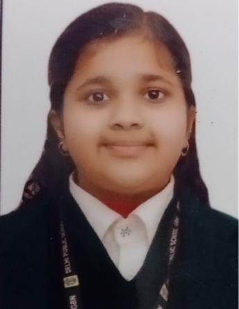 Delhi Public School, Bijnor