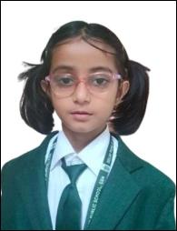 Delhi Public School, Bijnor