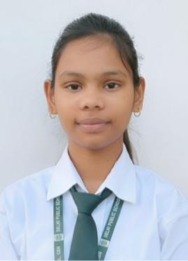 Delhi Public School, Bijnor