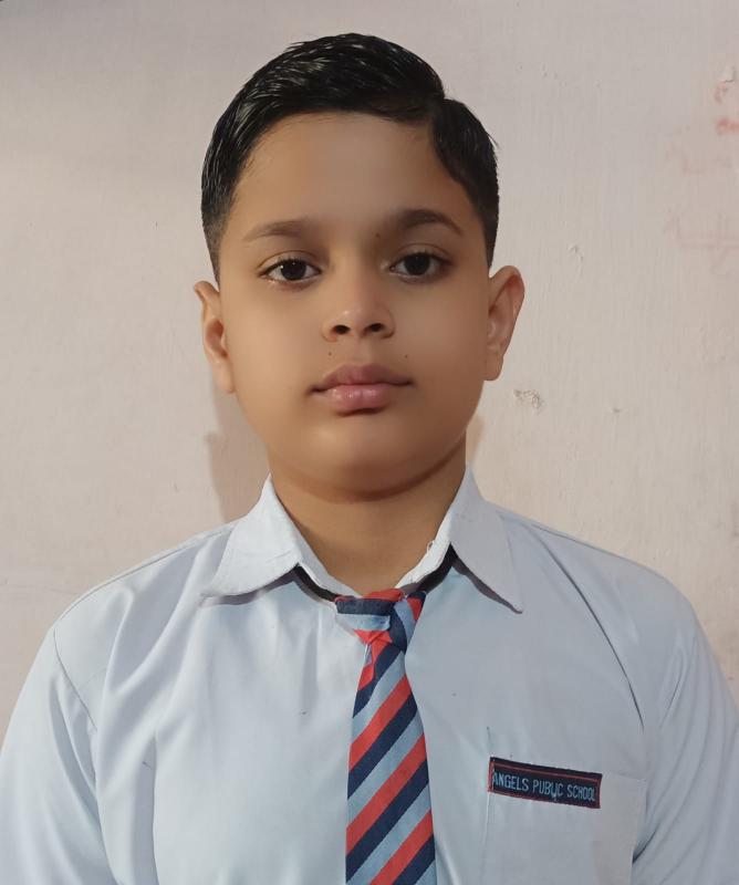 Delhi Public School, Bijnor