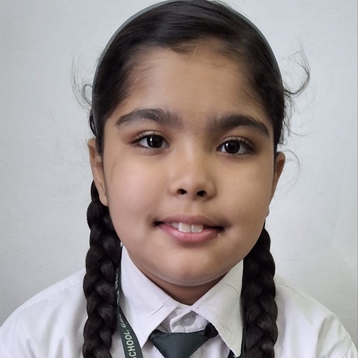 Delhi Public School, Bijnor