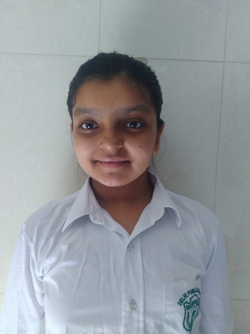 Delhi Public School, Bijnor