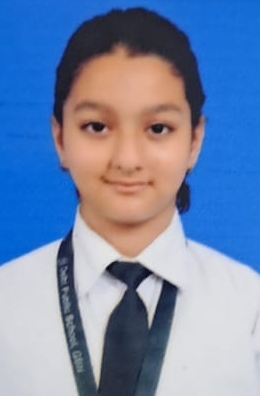 Delhi Public School, Bijnor