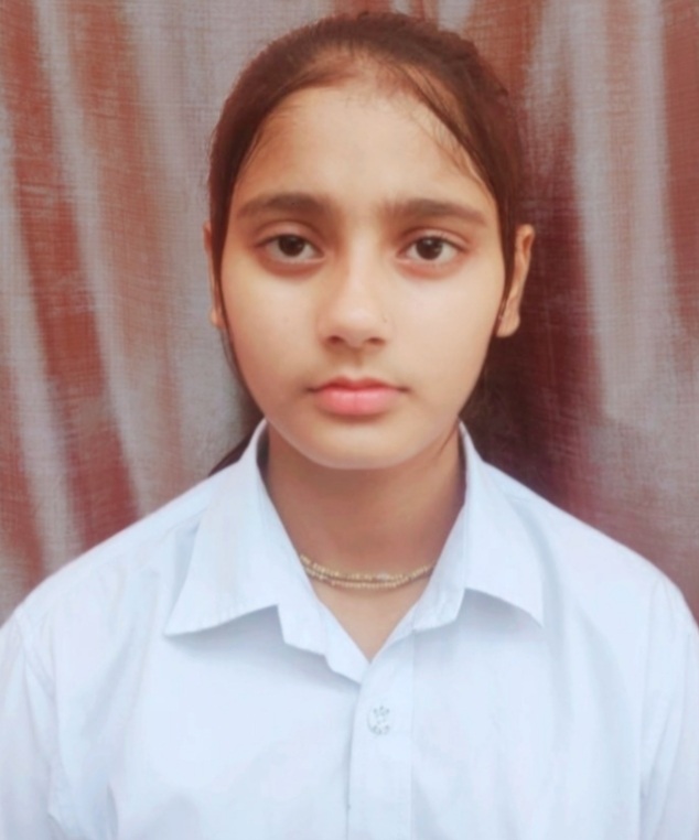 Delhi Public School, Bijnor