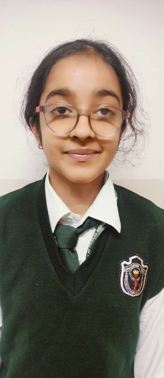 Delhi Public School, Bijnor