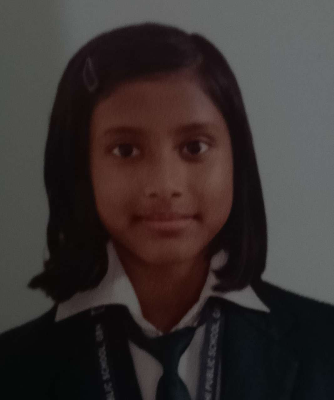 Delhi Public School, Bijnor