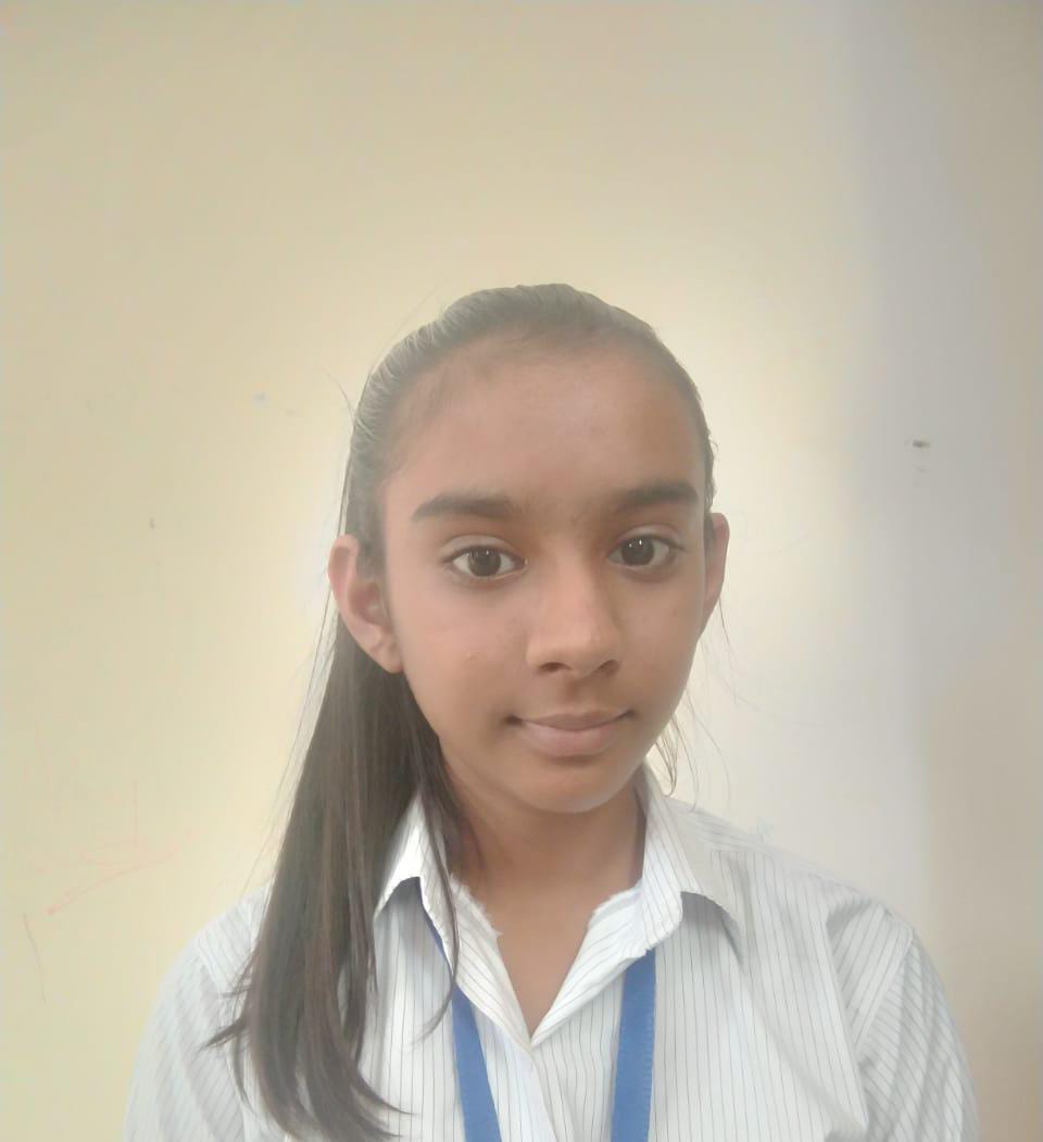 Delhi Public School, Bijnor