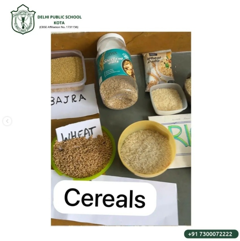 Classroom Activity: Exploring Sources of Foods