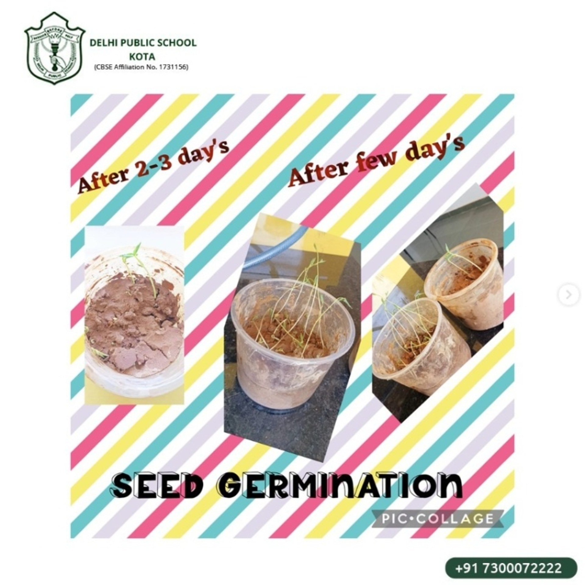 Class 8 - Simple Experiment on Seed Germination