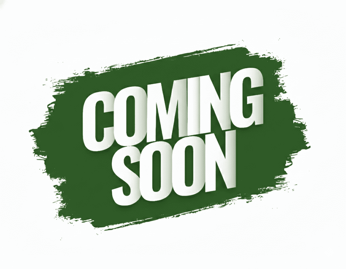 DPS School, Moradabad