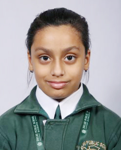 Delhi Public School Rudrapur