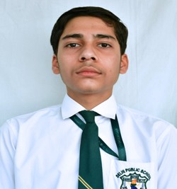 Delhi Public School Vindhyanagar
