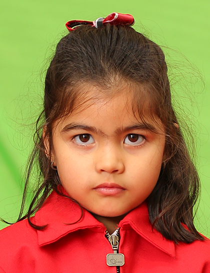 Delhi Public School Rudrapur