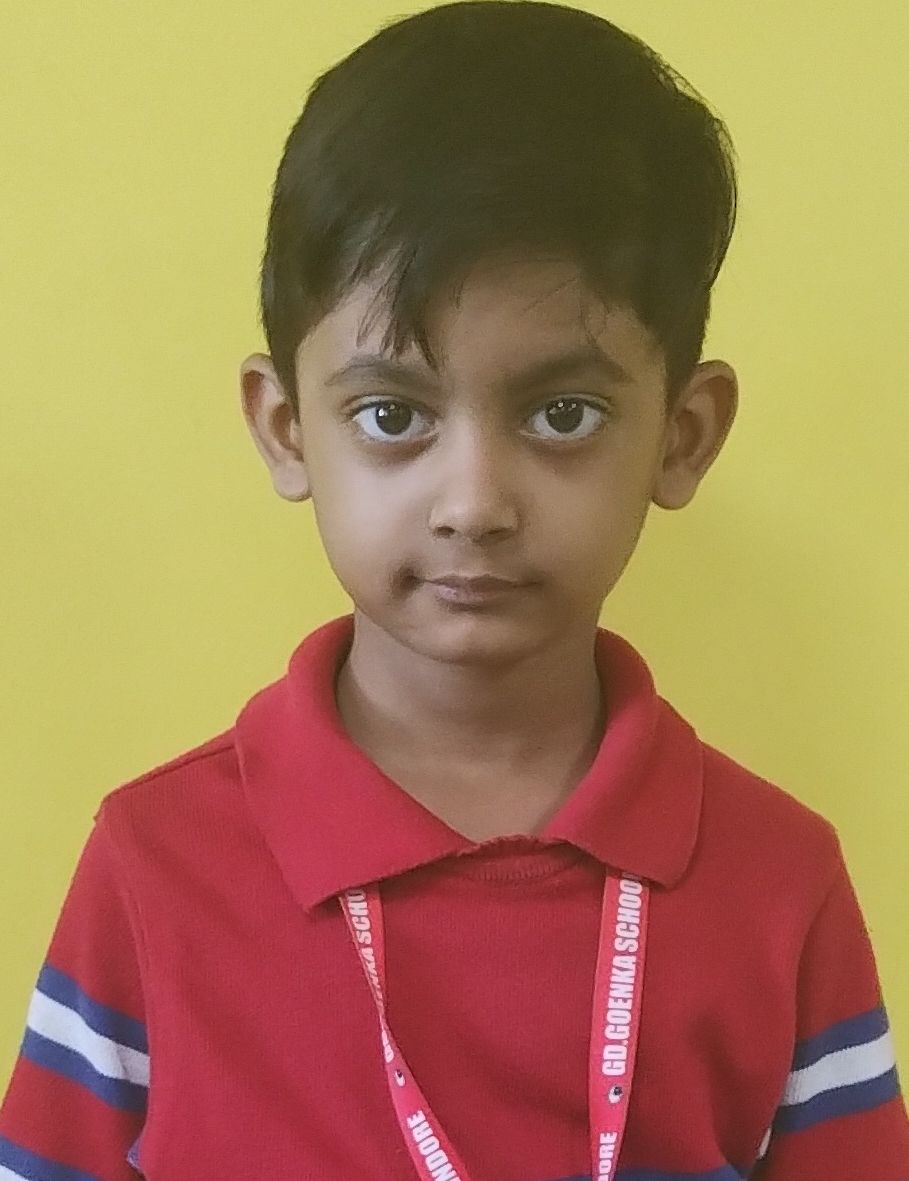 GD Goenka Public School, Indore