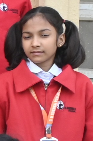 GD Goenka