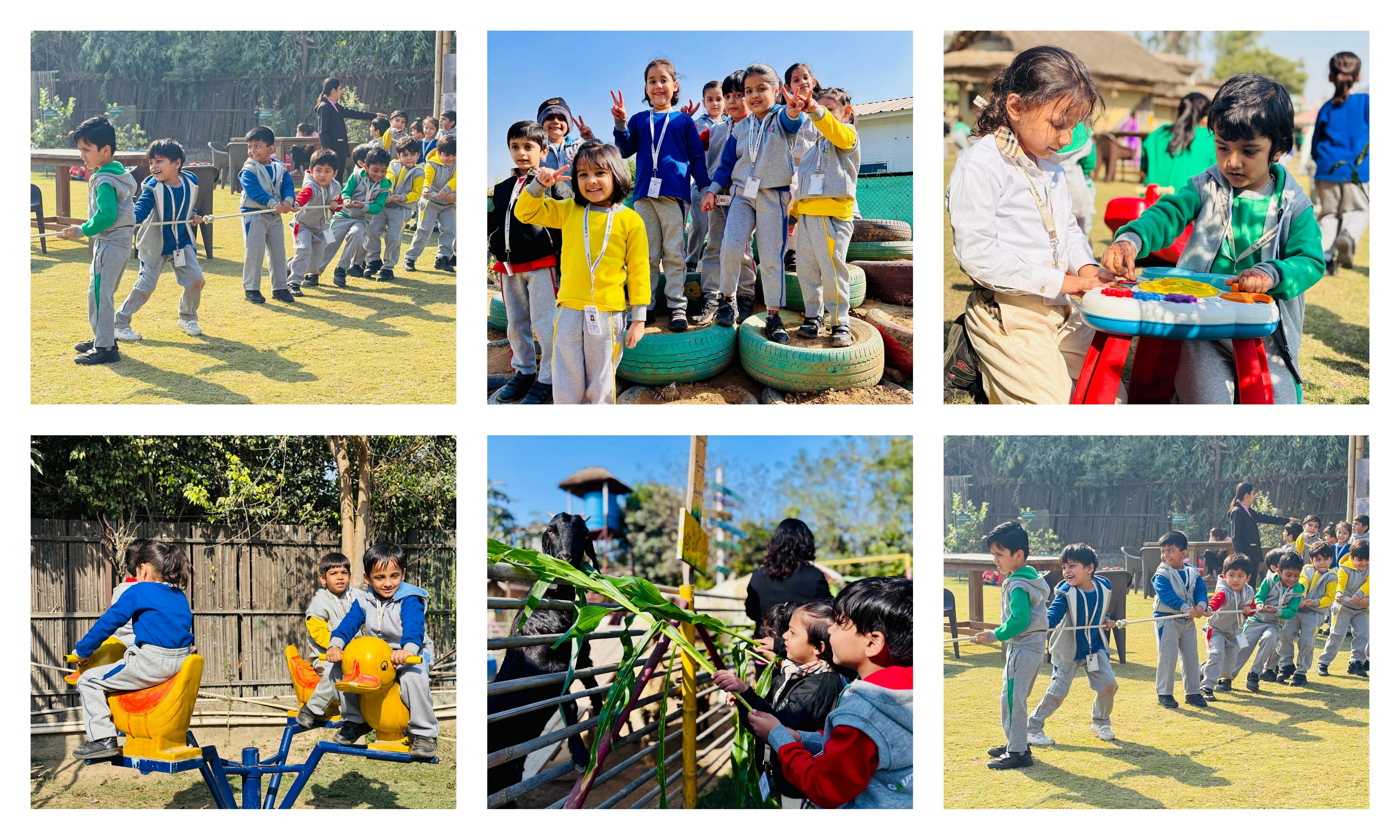 Best School in Greater Noida