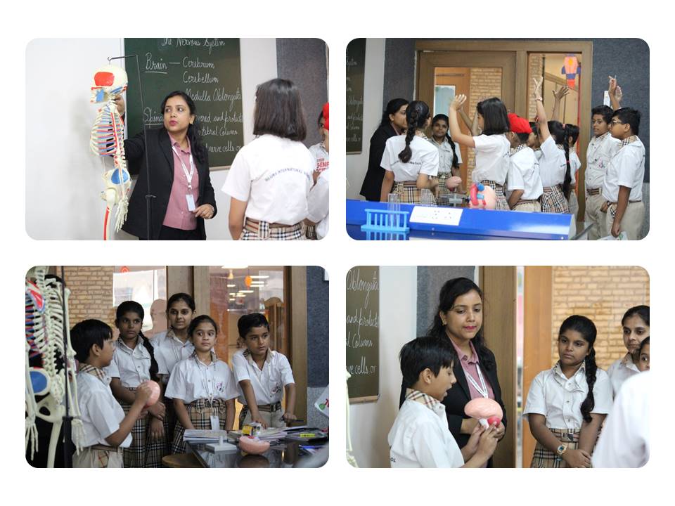 Best School in Siddharth Vihar