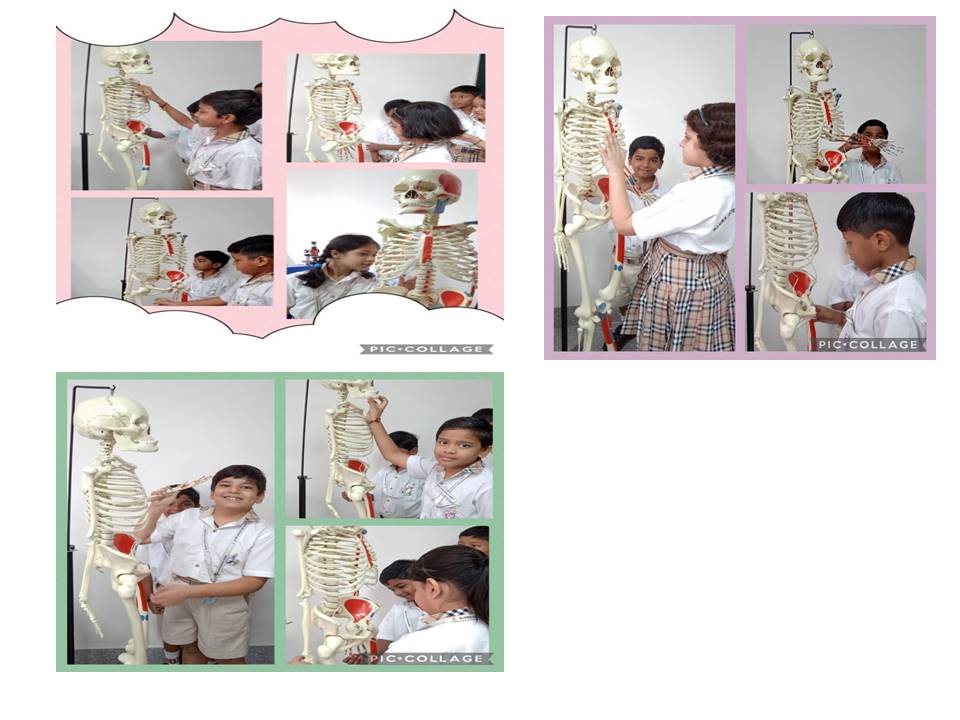 Best School in Siddharth Vihar