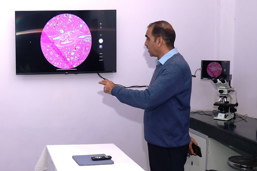 Top Dental College in Modinagar