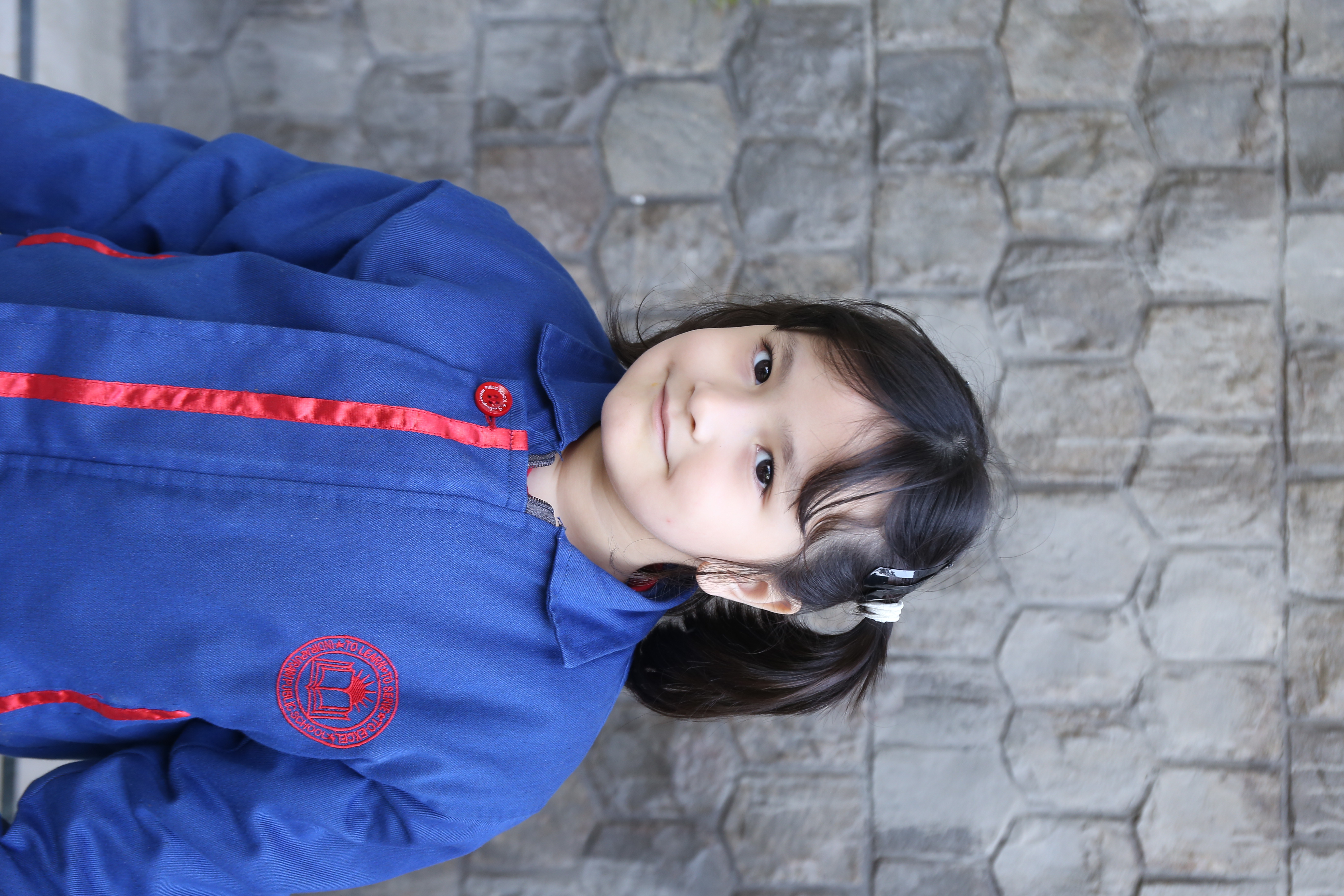 D Y Patil International School, Worli