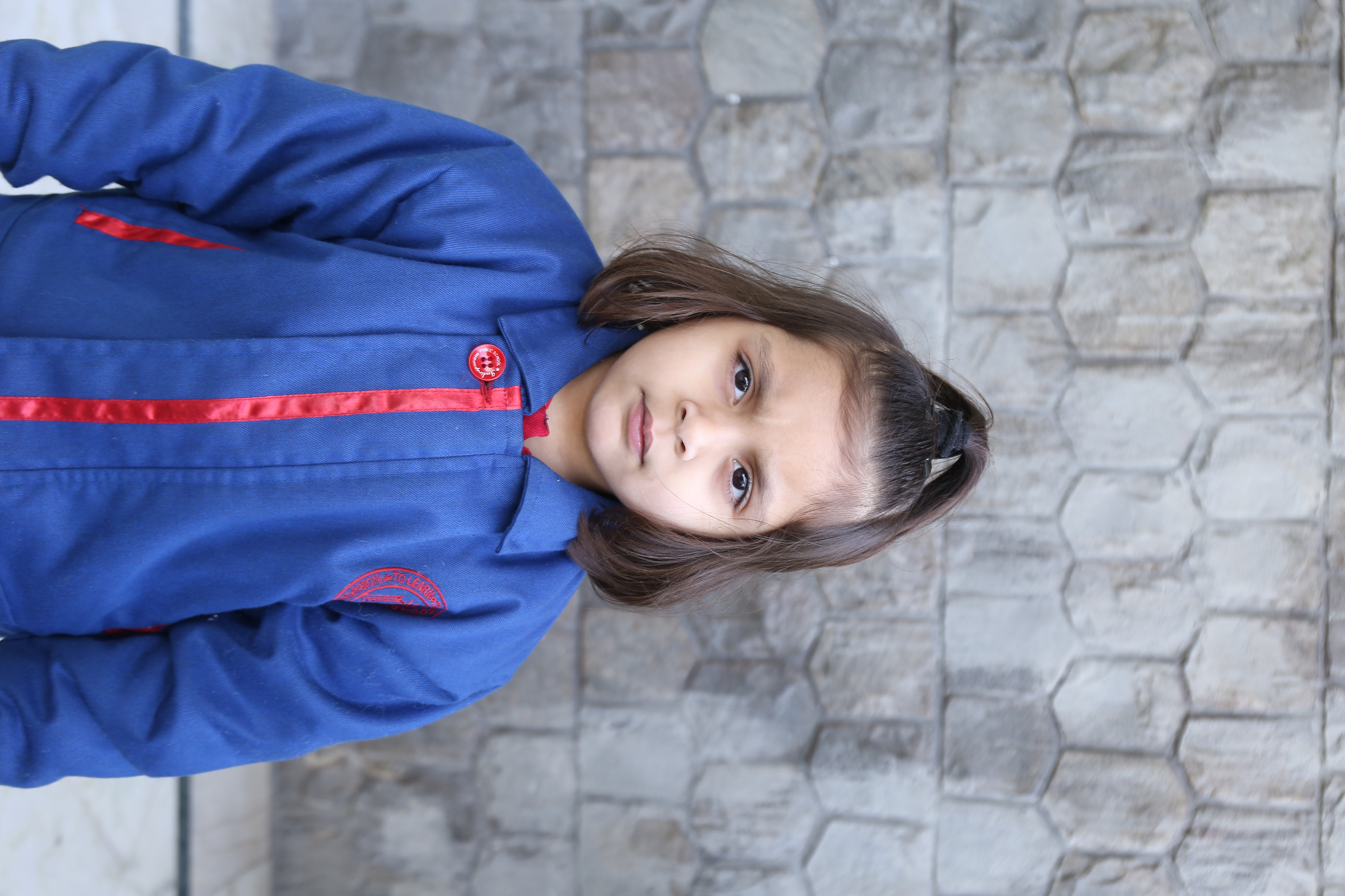 D Y Patil International School, Worli