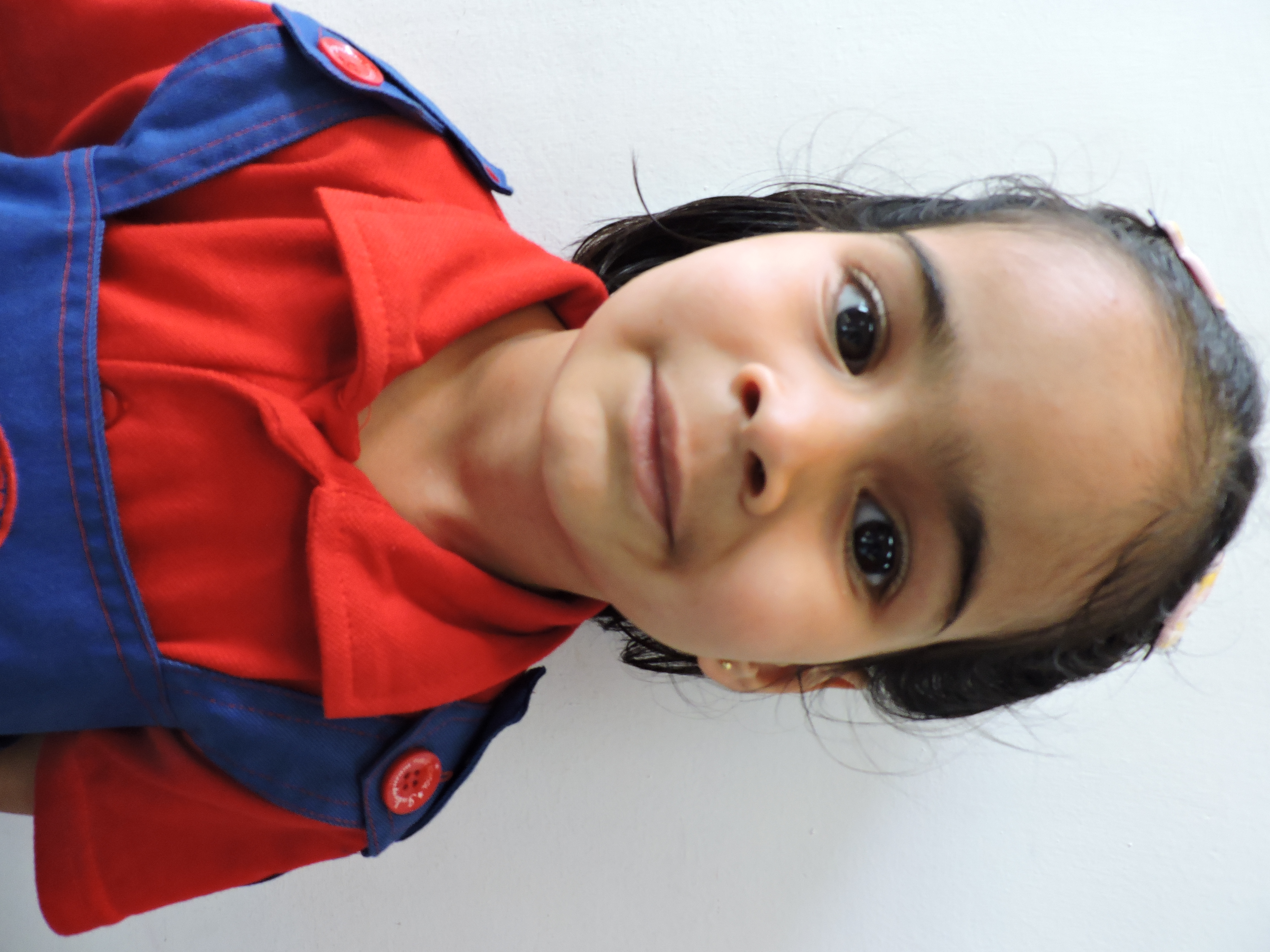 D Y Patil International School, Worli