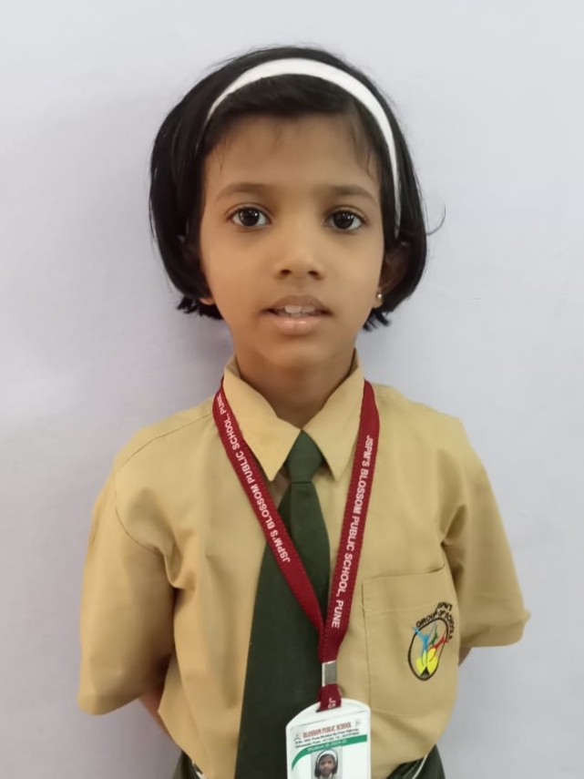 D Y Patil International School, Worli