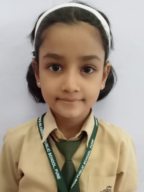 D Y Patil International School, Worli