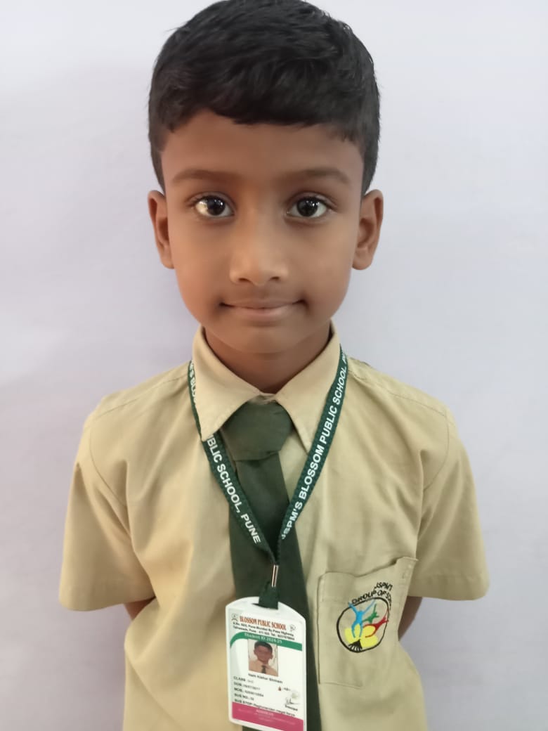 D Y Patil International School, Worli