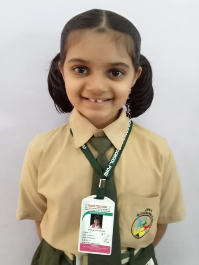 D Y Patil International School, Worli
